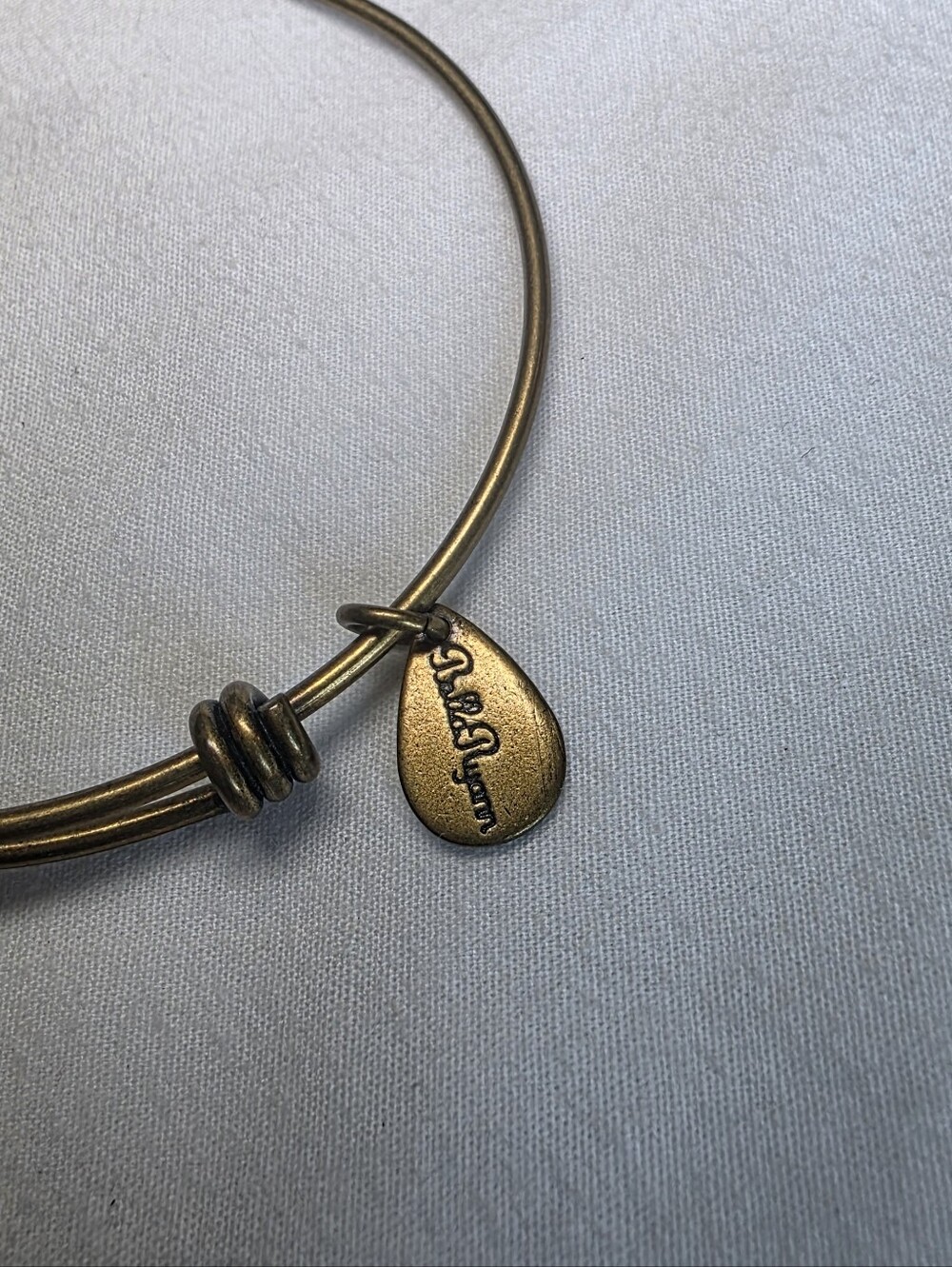 Bells Ryann Antique Gold 'First State' Delaware Charm Bangle Bracelet - Picture 2 of 4
